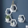 Creative Wall Mounted Organizer Shelve Decor
