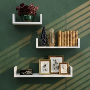 Lounge Living Room Floating Organizer Shelf Set of 3